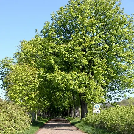 Haus Dittersbach Lohme